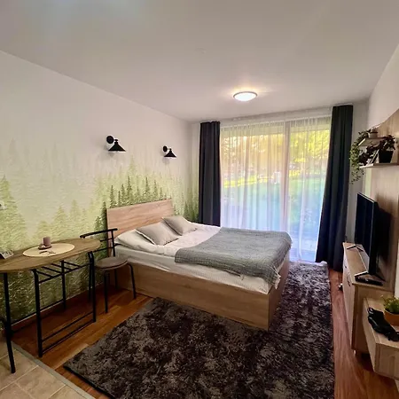 Flat F6 Bansko